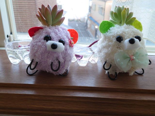 K琅⋋Ă܂B_Ƃ͉̂Y