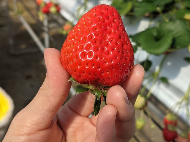 �^���ԂŃL���C�ł�!_��t�@�[���i��-����-�j