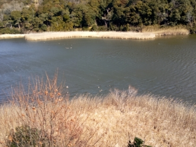 ����������ꏊ�͏��Ȃ��ł�_���P�J��