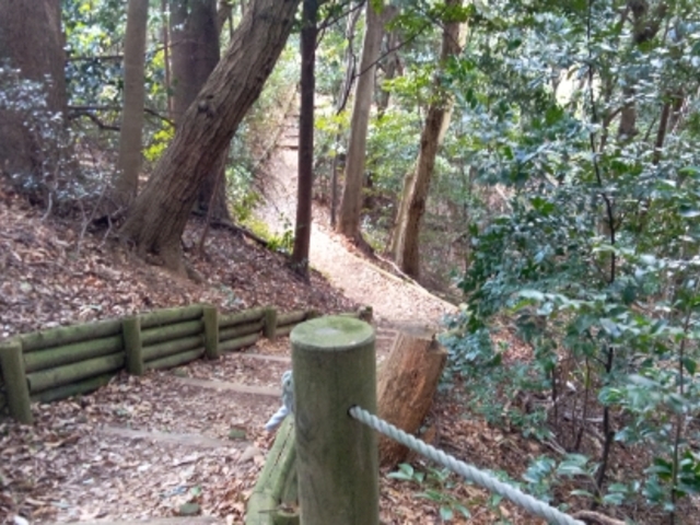 �X�̒���������Ƃ������ł��B_���P�J��