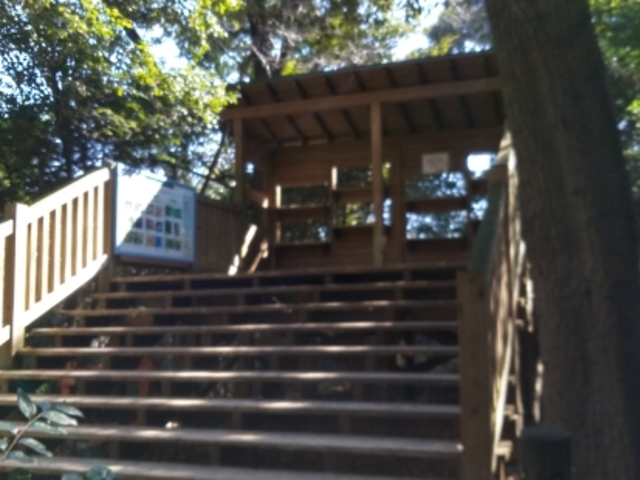 ���̊ώ@����_���P�J��