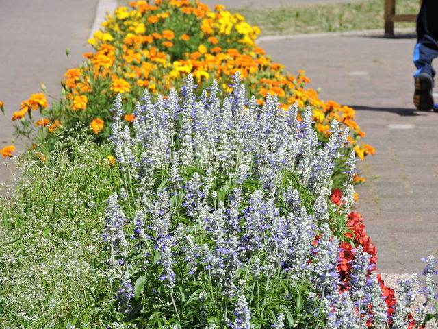 jZR@̉w jZRr[vU_̉w jZRr[vU