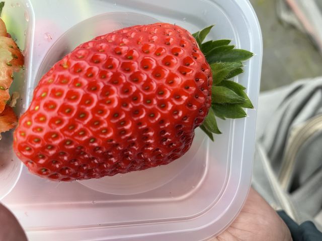 �܂�Ђ��_JA�킩��܋I�̗��������ό��_��