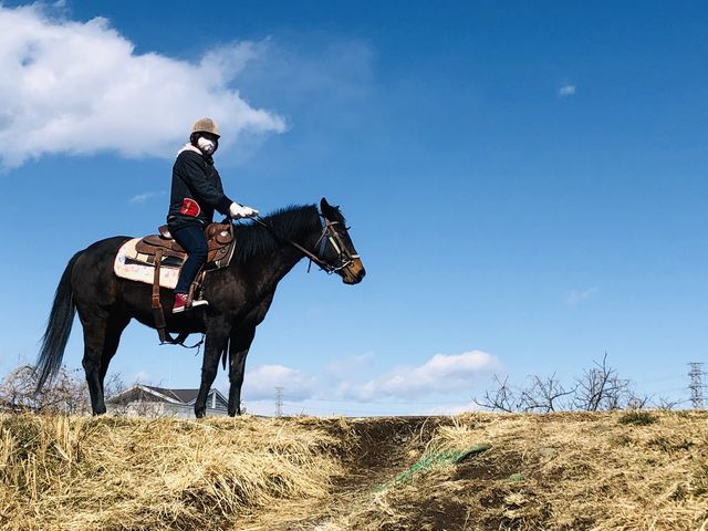 �n�̃}���������ł��I_�}�����̕��z�[�X�g���b�L���O