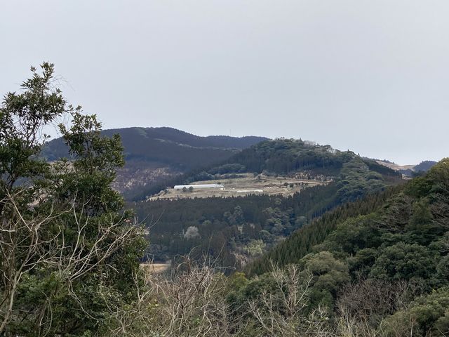 �R�̏�̂��������I�y���������ł��B_�V��̂���������ʐ^�� �܂邩����