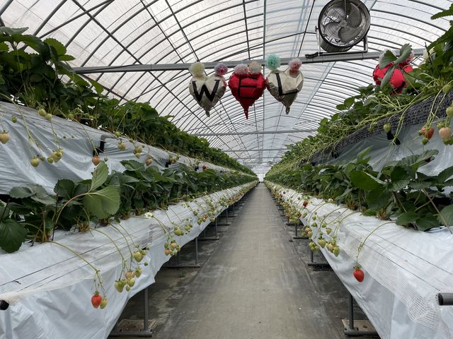 �r�j�[���n�E�X��2����A������̓x�r�[�J�[�ł��s�������邱�Ƃ��o���܂����B_��J�t�@�[��