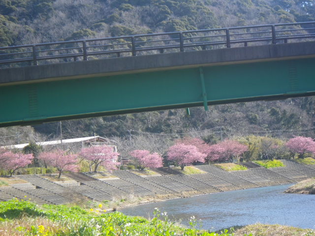 㞊]ށB
_XƃsN̉򂪑B
_̉w Ή ̉