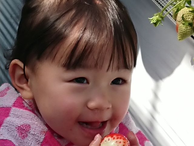 ��������䕂ɖ���_SEN's Berry Farm