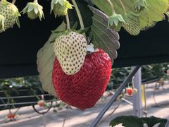 ݂܂̊΂t@[Nakaiwaւ̓eʐ^1