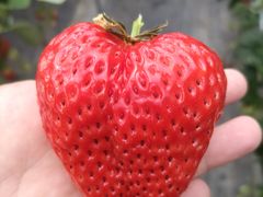 �����炳��̕x�ÃA�N�A�t�@�[���ւ̓��e�ʐ^1