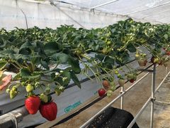 ܂̈t@[i--jւ̓eʐ^1