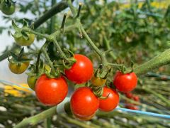 X~X̂ǂEEH[^[Et@[ւ̓eʐ^1