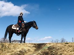 Ђ܂肳̃}̕z[XgbLOւ̓eʐ^1