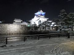 凛ちぇんさんの富山城への投稿写真1
