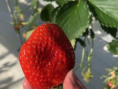 ȂȂ݂̃t@[ւ̓eʐ^1