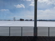 yosshyCOWCOW Cafe̓eʐ^2