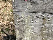 Shotȃ勋隬̓eʐ^1