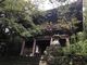 なべきちさんの竹林寺（高知県高知市）への投稿写真4