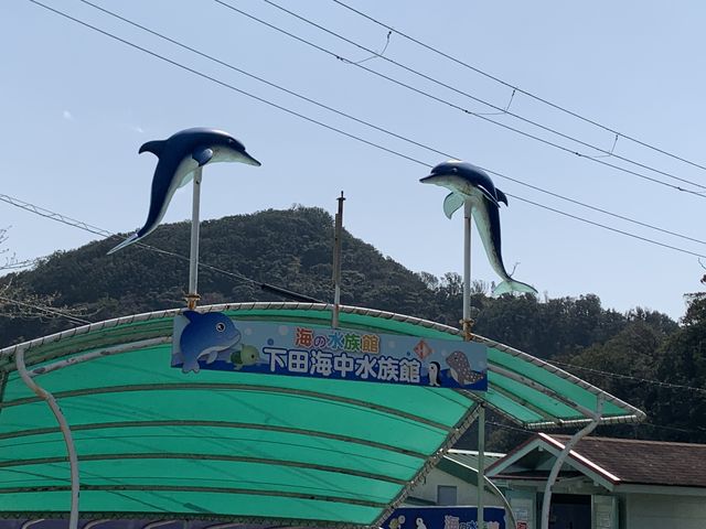 �����܂����B_�h���t�B���r�[�`