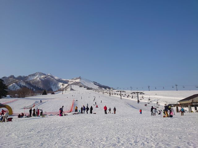 �L�b�Y�p�[�N������ԊɎΖ�_�⌴