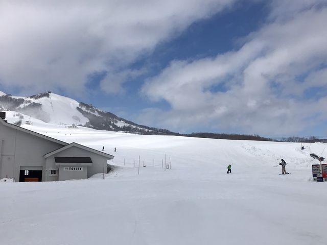 ��ԉ��������Γx����_�⌴