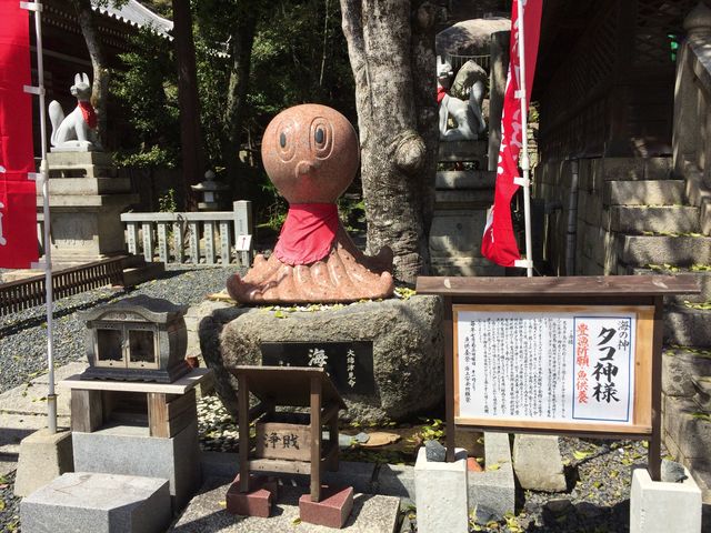 ���킢���_�l_�R���_��