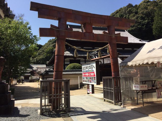 ���O�Ăŏo���Ă���炵�������B_�R���_��