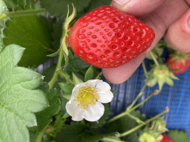 �݂��݂������ĊÂ݂Ǝ_���̃o�����X���ǂ���
�H�׉߂����ӂł��@�P�Q�O�H�ׂ܁c�P�v��_䕉����߃n�E�X