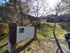 PES����̓c�ۏ�Ղւ̓��e�ʐ^1