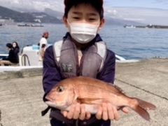 Ȃ񂳂̊Cޖx@ނ̓Cւ̓eʐ^1