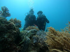 ˂񂳂̃}T[rXނʁ[ւ̓eʐ^1