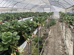 Ձ[񂳂̋nEXւ̓eʐ^1