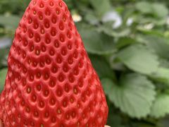 ΂₵̃qt@[ւ̓eʐ^1