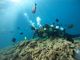 す～ちゃんさんの青の洞窟と沖縄ダイビングのVoicePlusへの投稿写真3
