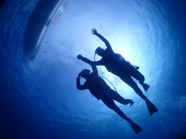 �C���X�g���N�^�[����ɎB���Ă��炢�܂����I_�V�[�W���b�N�_�C�u�t�@�~���[