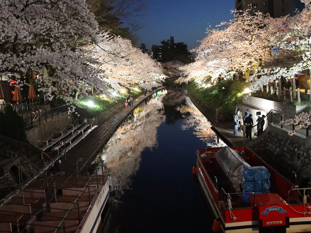 ���q������_����V���D