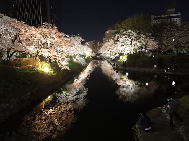 ���\��􋴂���@_����V���D