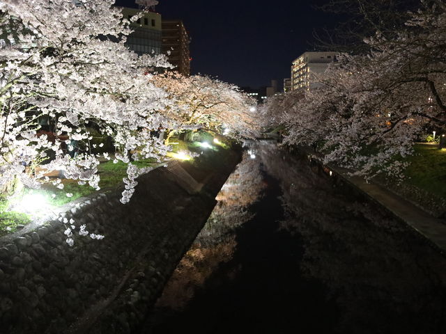 ���\��􋴂���A_����V���D