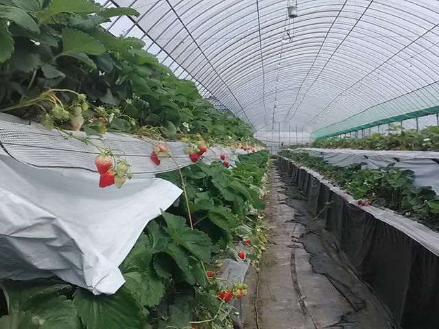 �Ȃ񂾂����Ȃ��`�`�`�I�H_�_�Y���������L�삭�����̑�