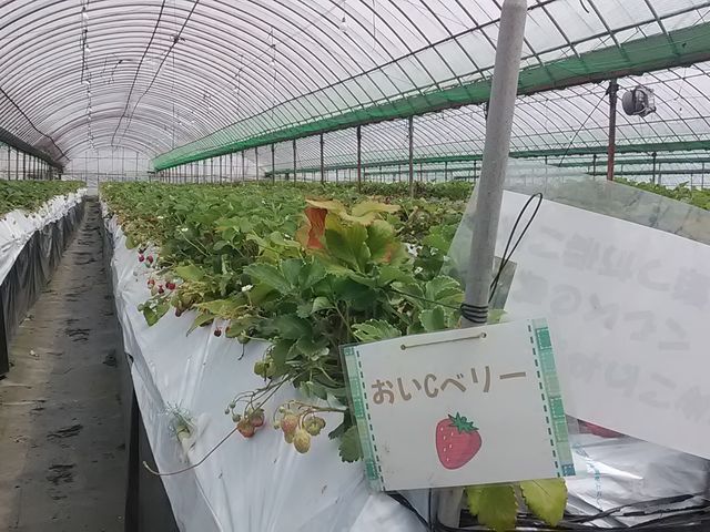 �����b�x���[_�_�Y���������L�삭�����̑�