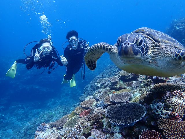 �E�~�K����3�V���b�g_�V�[�W���b�N�_�C�u�t�@�~���[