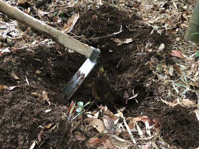 �[���@��܂����A�y���_�炩���̂ŁA�@��₷�������ł��B_�Ȃ��݉��@�X�c