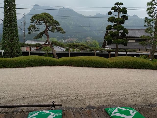 [݂񂳂̎jՌܗ{wE̓eʐ^3