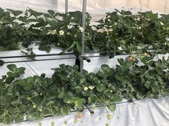 ܏\Ẑ͂Ȃ̂t@[ւ̓eʐ^1