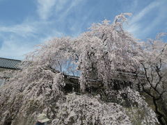 鬼彦さんの上田城への投稿写真1
