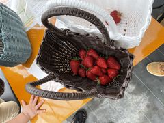 ݂䂫͖̉쉀|ւ̓eʐ^1