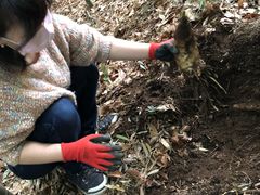 ܂Ⴑ̂Ȃ݉@Xcւ̓eʐ^1