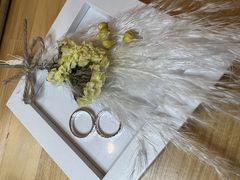 ܂䂩̃AJlX{ւ̓eʐ^1