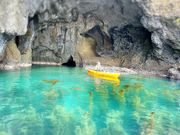 V}񂳂̏؃_CrOZ^[̓eʐ^1