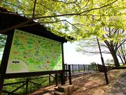 ͂Ȃт̉ےm~nW]̓eʐ^1